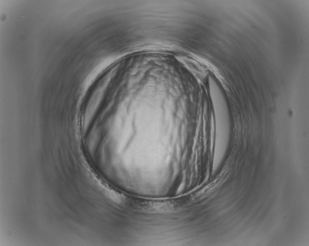 X0000072541375200608041611