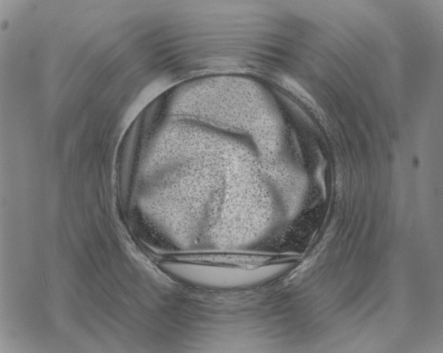 X0000072541378200608041611