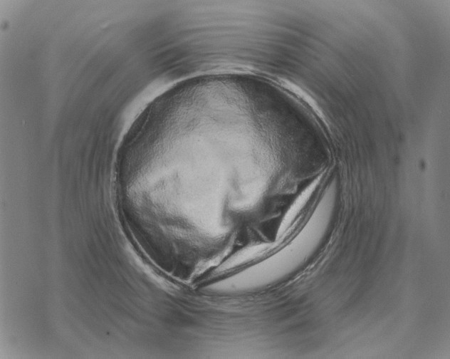 X0000072541379200608041611