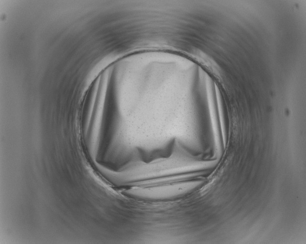 X0000072541382200608041611