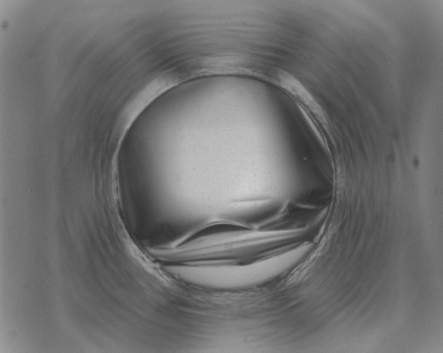 X0000072541386200608041611