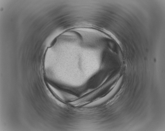 X0000072541387200608041611