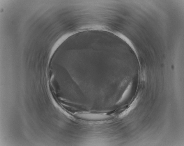 X0000072541389200608041611