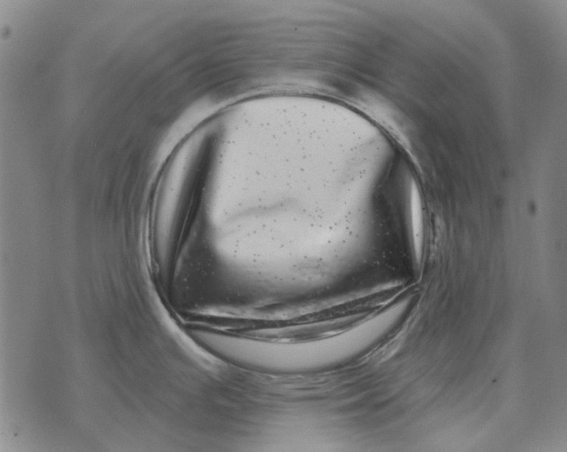 X0000072541391200608041611