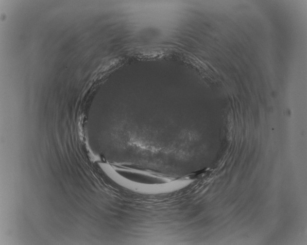 X0000072541394200608041610
