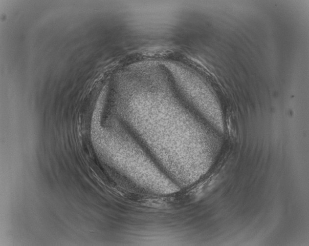 X0000072541396200608041610
