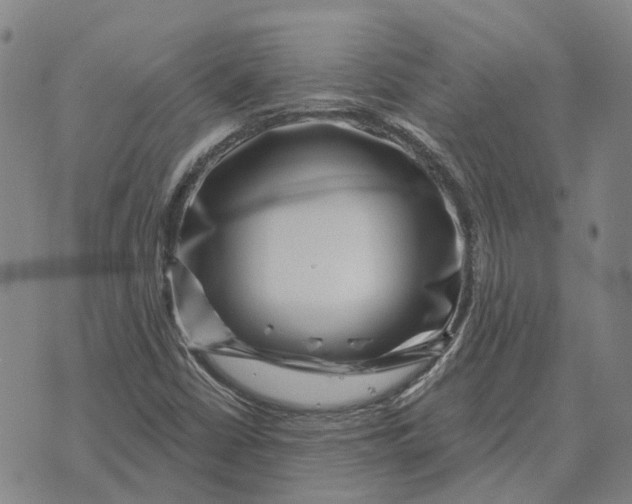 X0000072541402200608041610