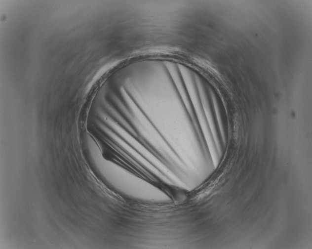 X0000072541404200608041610