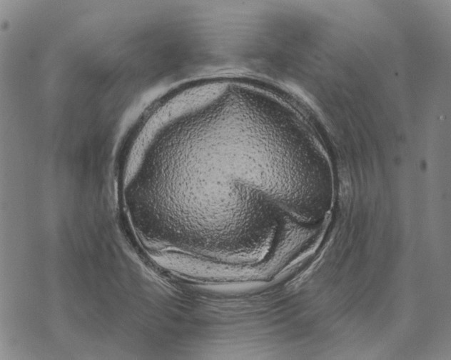 X0000072541414200608041611
