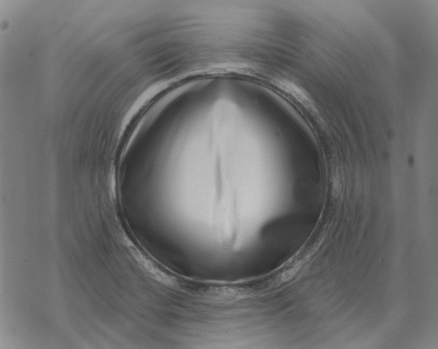 X0000072541420200608041611