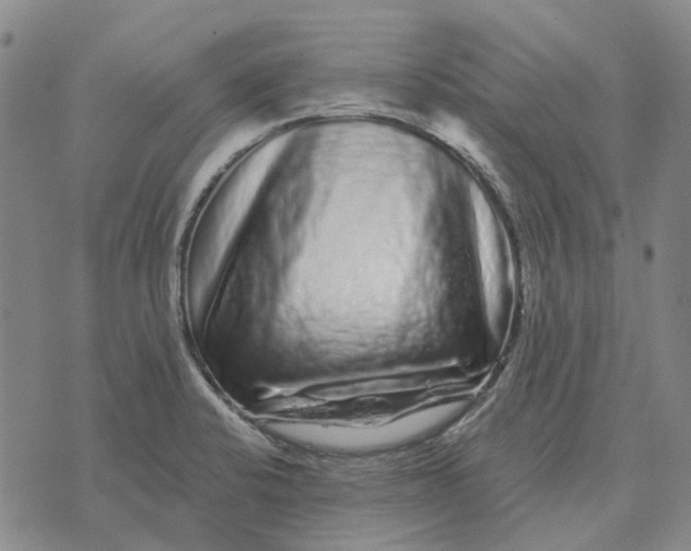 X0000072541424200608041611