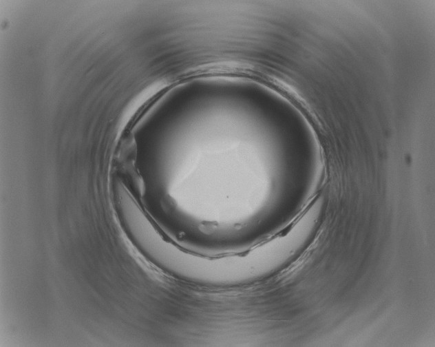 X0000072541426200608041611