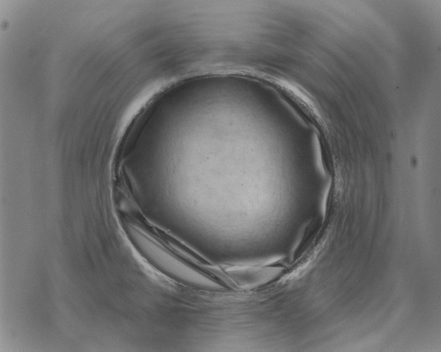 X0000072541430200608041611