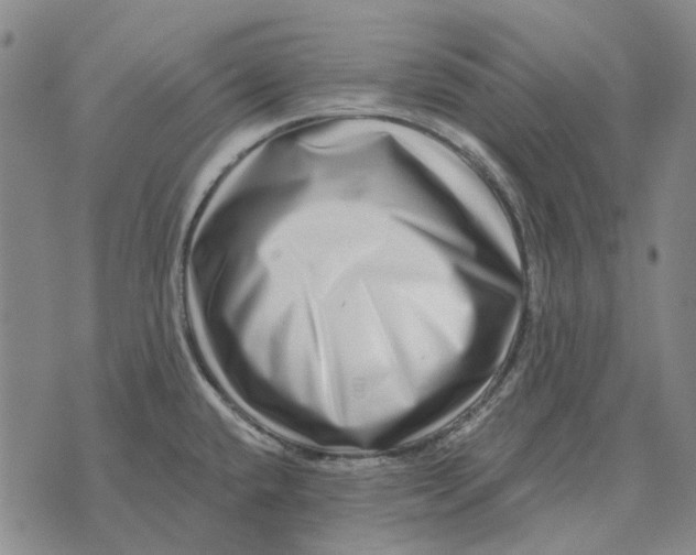 X0000072541432200608041611