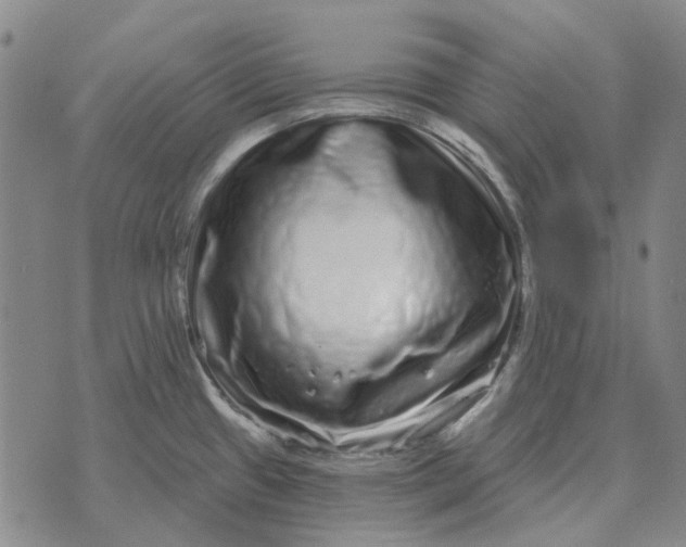 X0000072541433200608041611