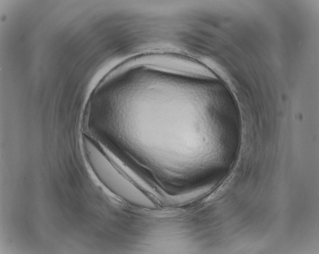 X0000072541440200608041611
