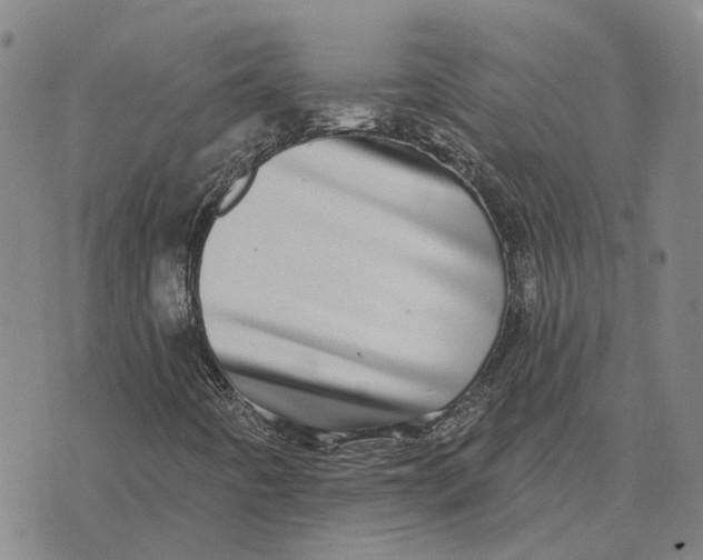 X0000072541442200608041610
