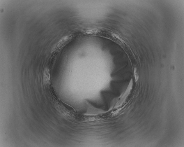 X0000072541443200608041610
