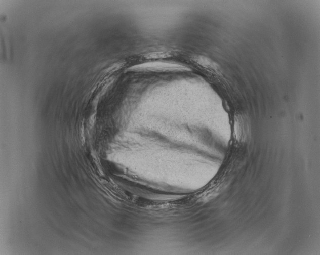 X0000072541444200608041610