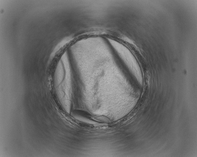 X0000072541448200608041610