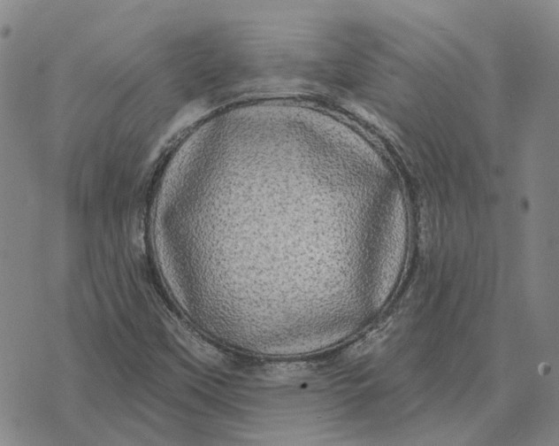 X0000072541451200608041610