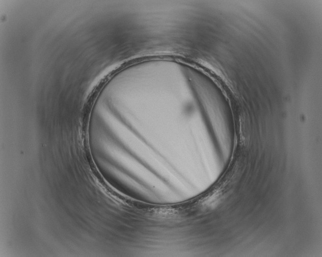X0000072541452200608041610