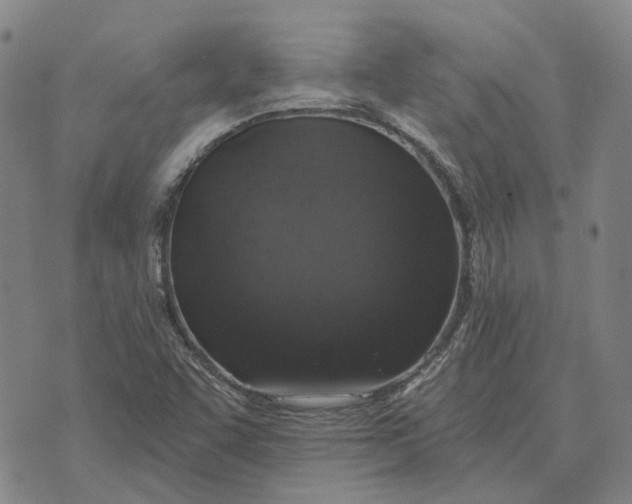 X0000072541455200608041610