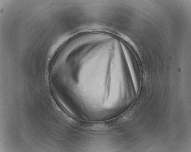 X0000072541464200608041610