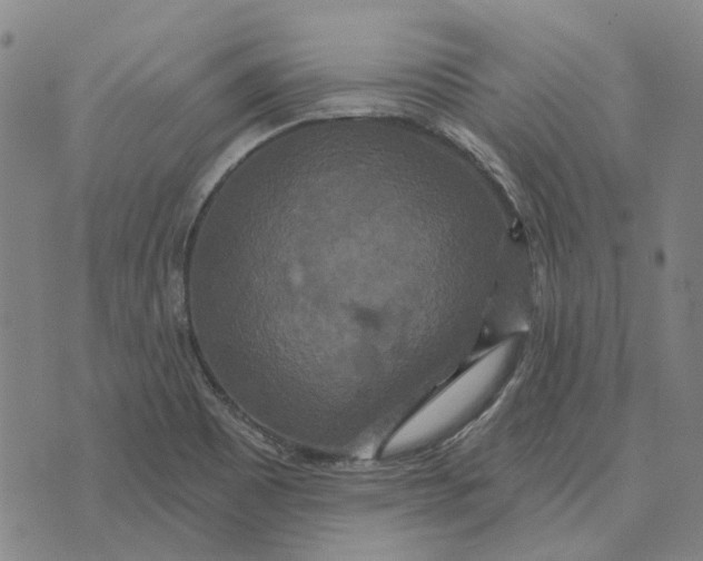 X0000072541465200608041610