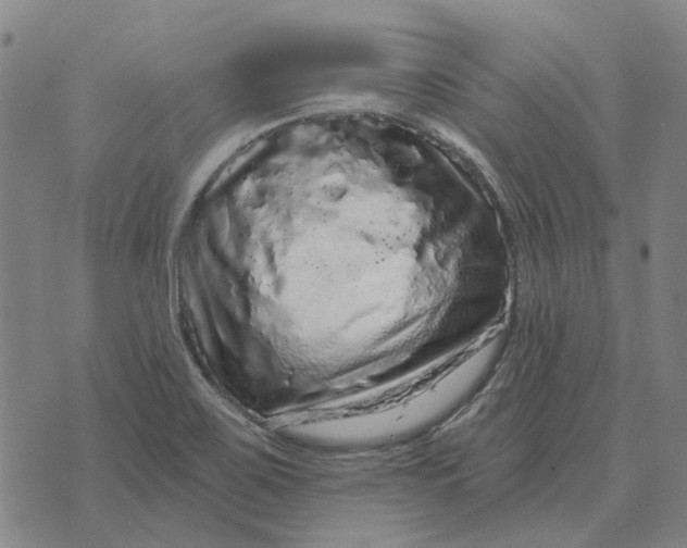 X0000072541467200608041610