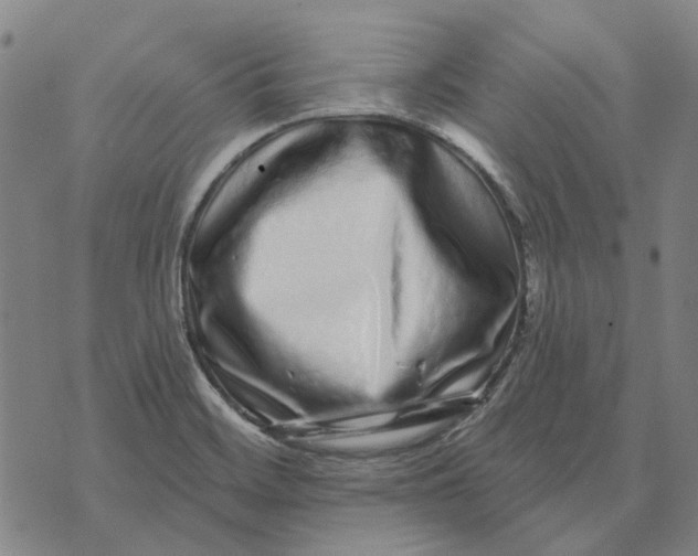 X0000072541468200608041610