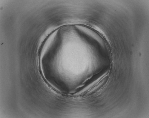 X0000072541472200608041610