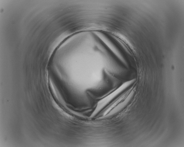 X0000072541476200608041610