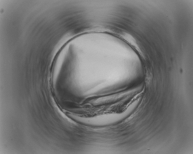 X0000072541484200608041610