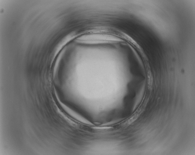 X0000072541487200608041609