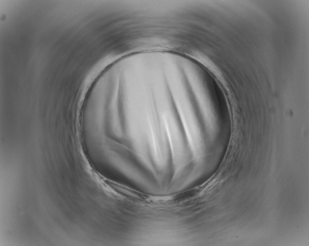X0000072541488200608041609