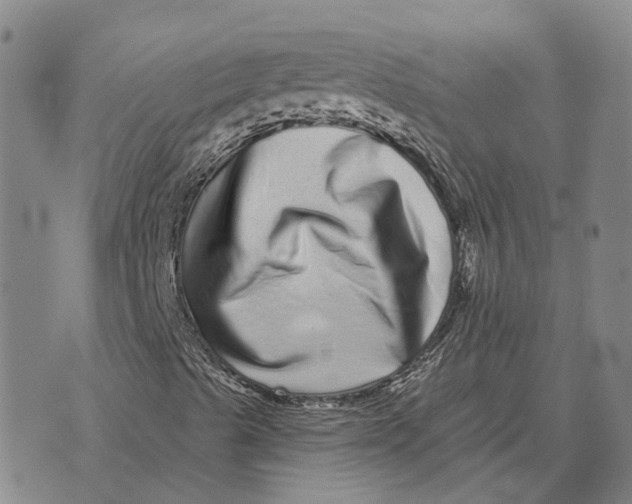 X0000072541489200608041609