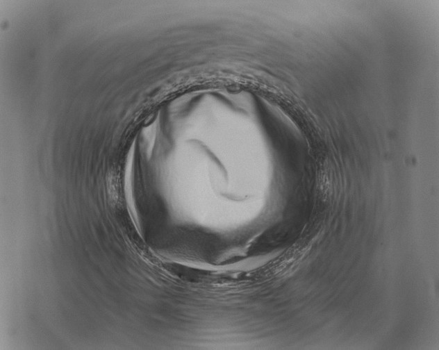X0000072541490200608041609