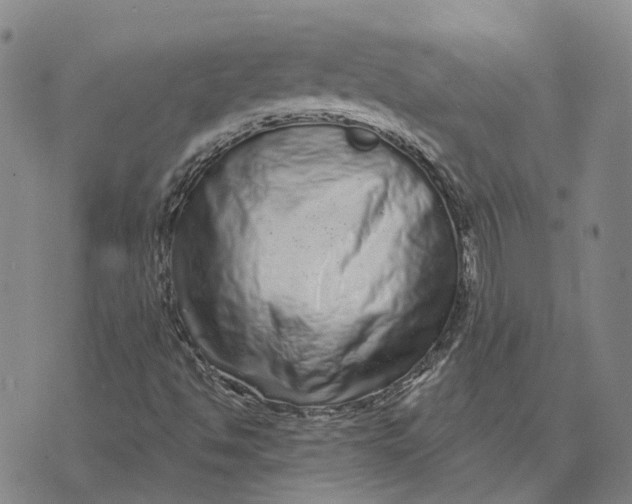 X0000072541494200608041609