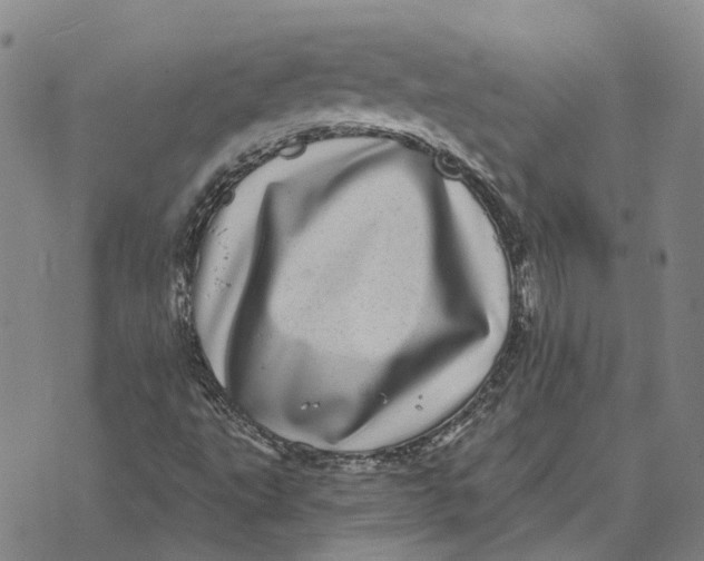 X0000072541495200608041609