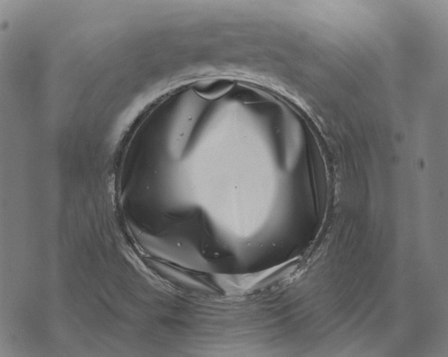 X0000072541503200608041609