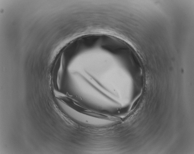 X0000072541507200608041609