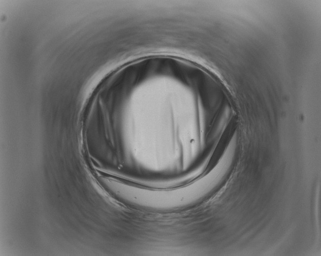 X0000072541511200608041609