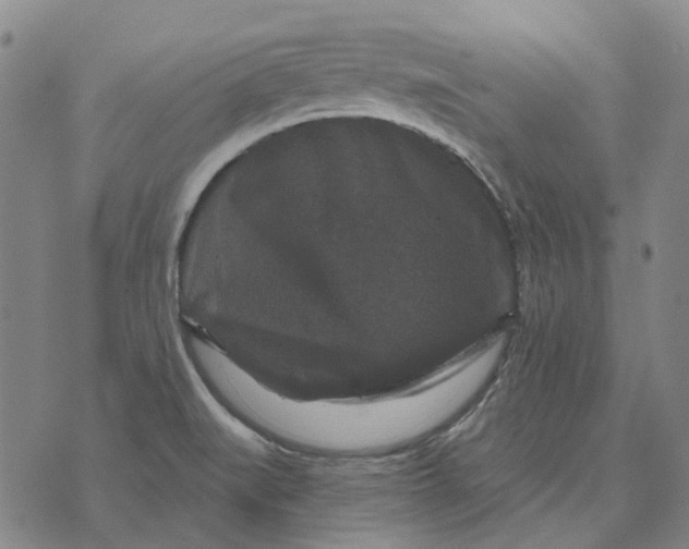 X0000072541519200608041609