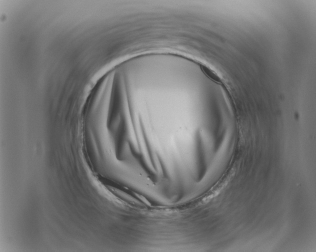X0000072541526200608041609