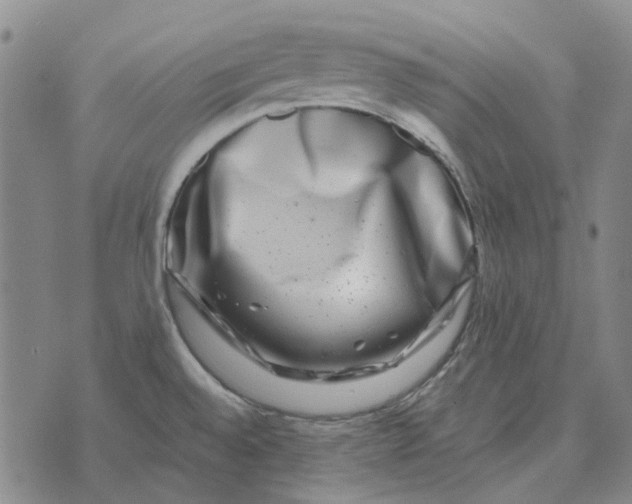 X0000072541528200608041609