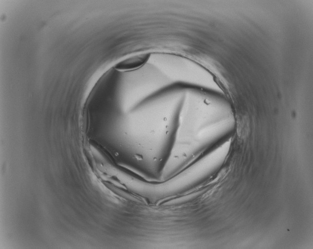 X0000072541532200608041609