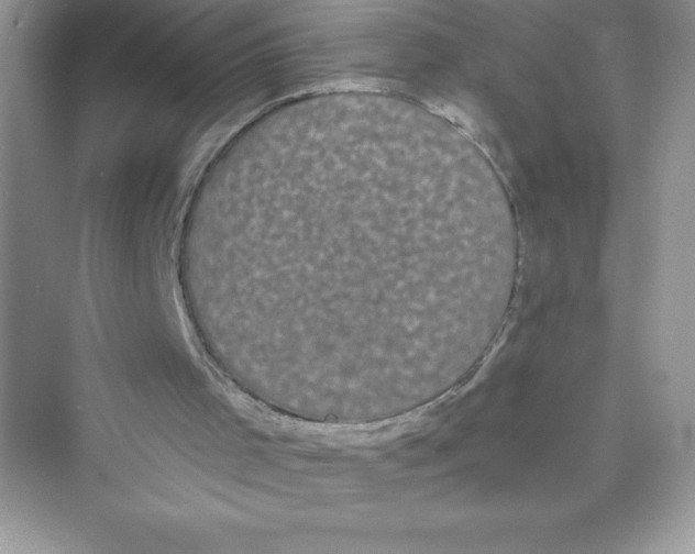 X0000072540001200608111825