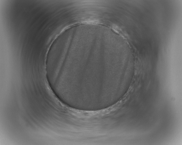 X0000072540002200608111825