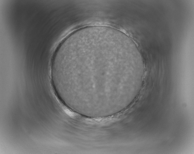 X0000072540005200608111825